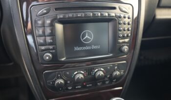 Mercedes-Benz G 400 CDI Station Wagon Court full